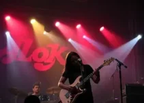 show de Alok em Teresina